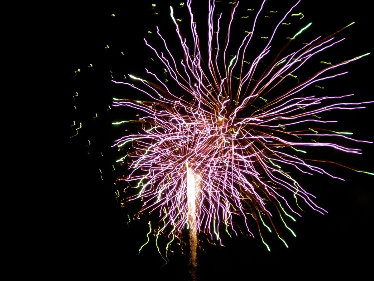 Edwards Donalds tweet media