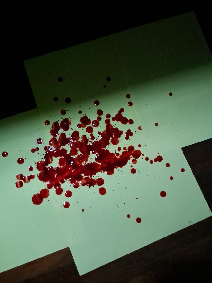 punk raccoon of shedtwt tweet media