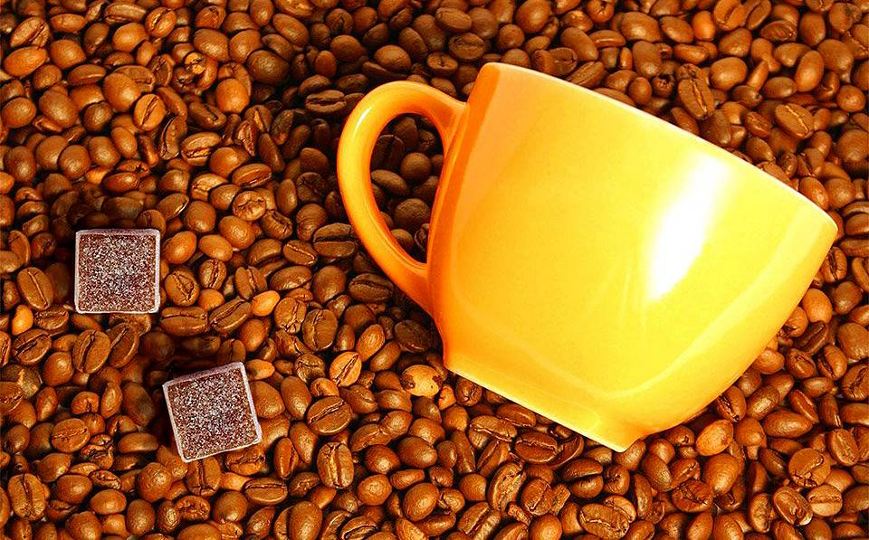 Mary Jane DaPuzzo tweet media