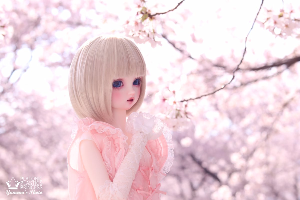 夢魅＠DREAM WORKS tweet media