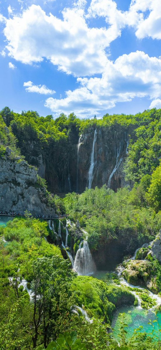 Sachin kumar tweet media