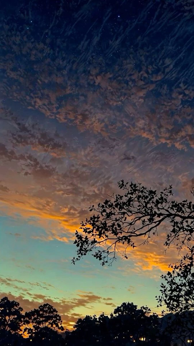 ρꪮꪮ𝓳ꪖ 🌸 tweet media