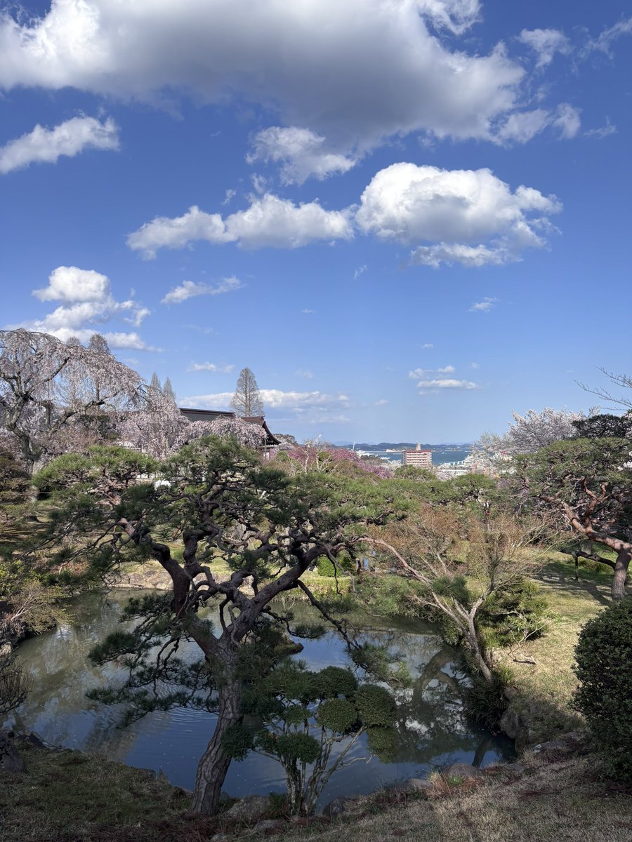 gvrrots's tweet photo. 1人で鹽竈神社へ

桜が満開で綺麗でした🌸 https://t.co/jyMNAOkvZm