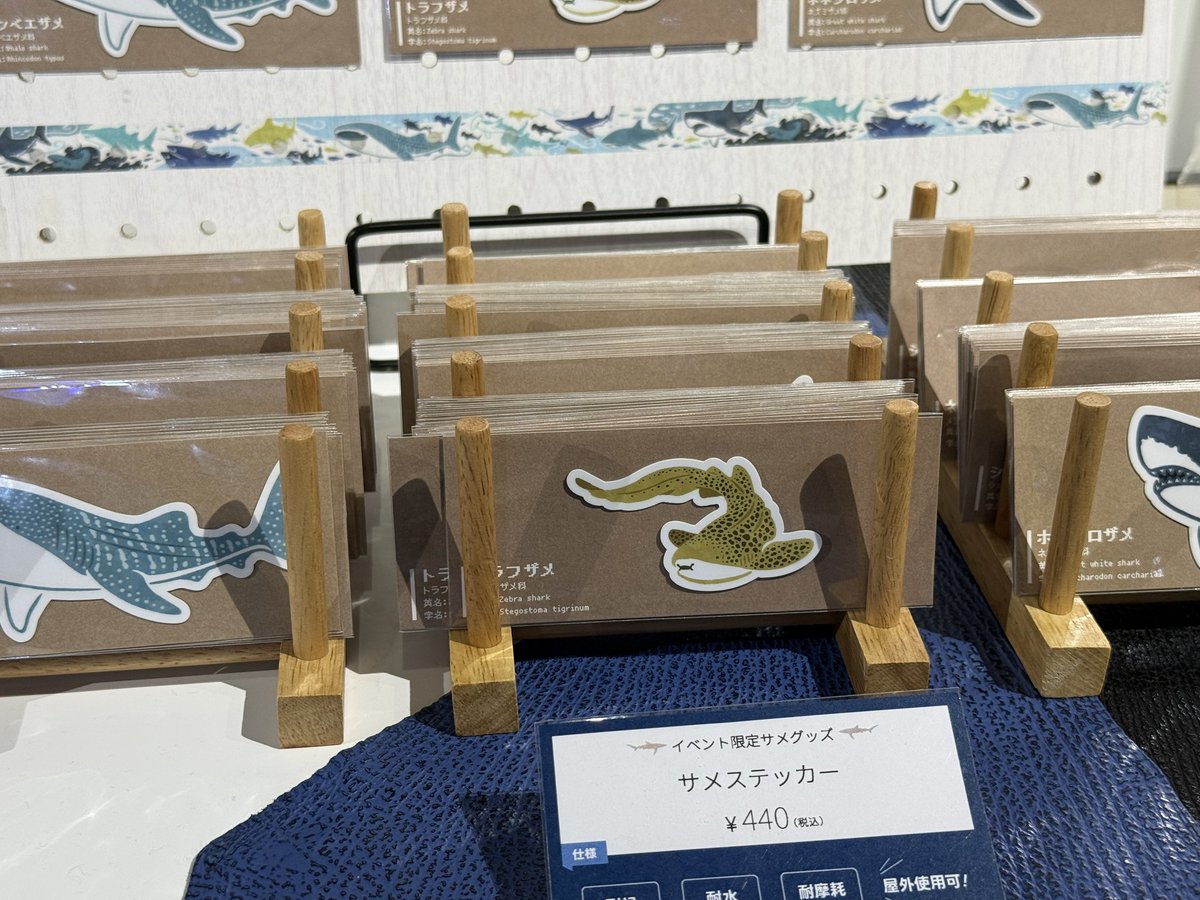 サメフィーバー【公式】 tweet media
