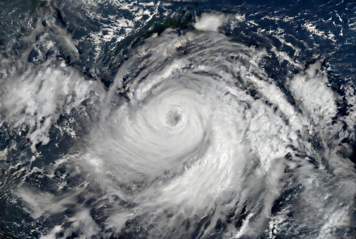 ゴディちゃん tweet media