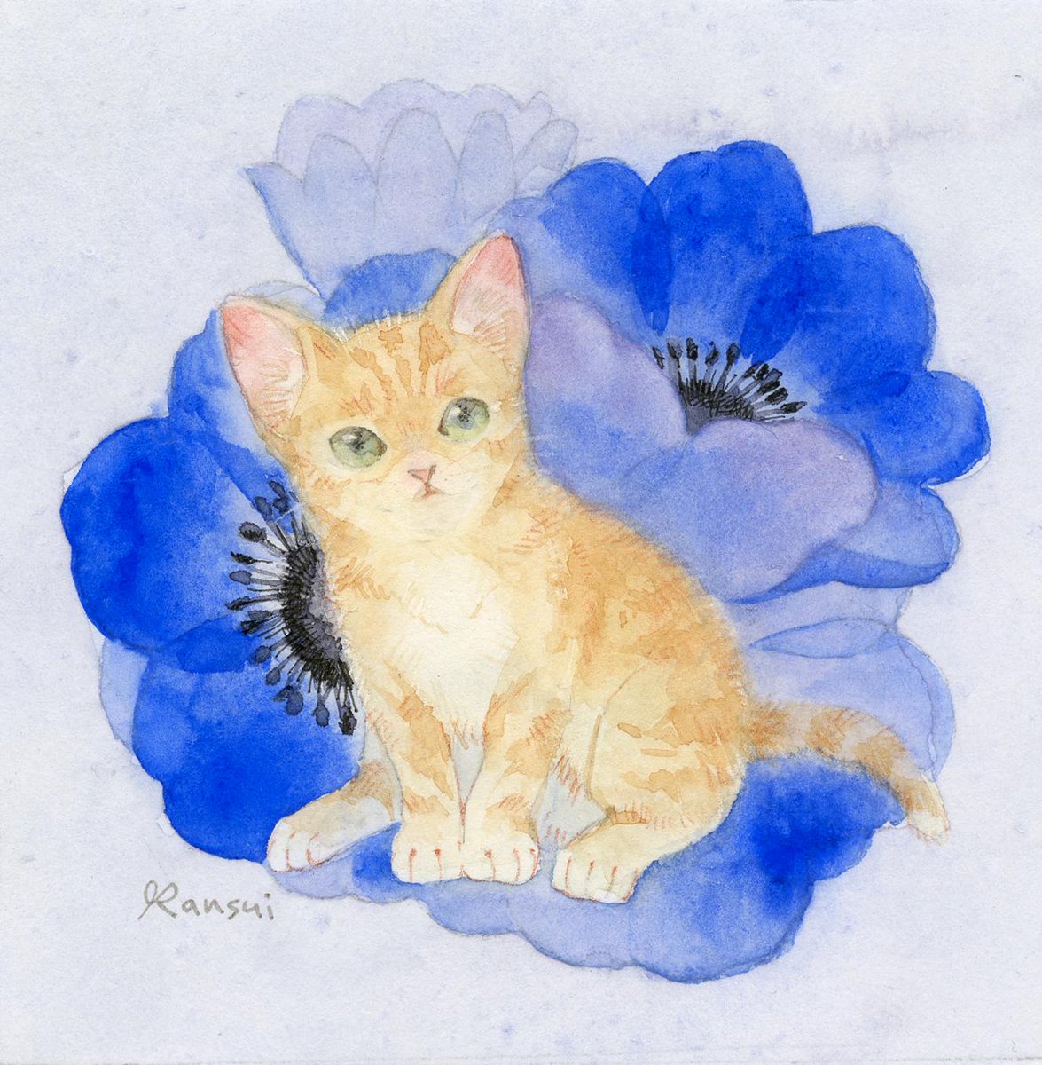 らんすい tweet media