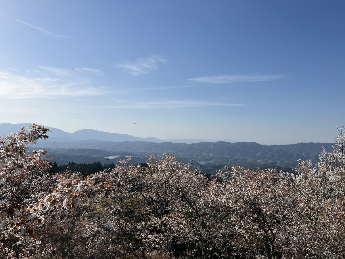 白珠しるこ tweet media