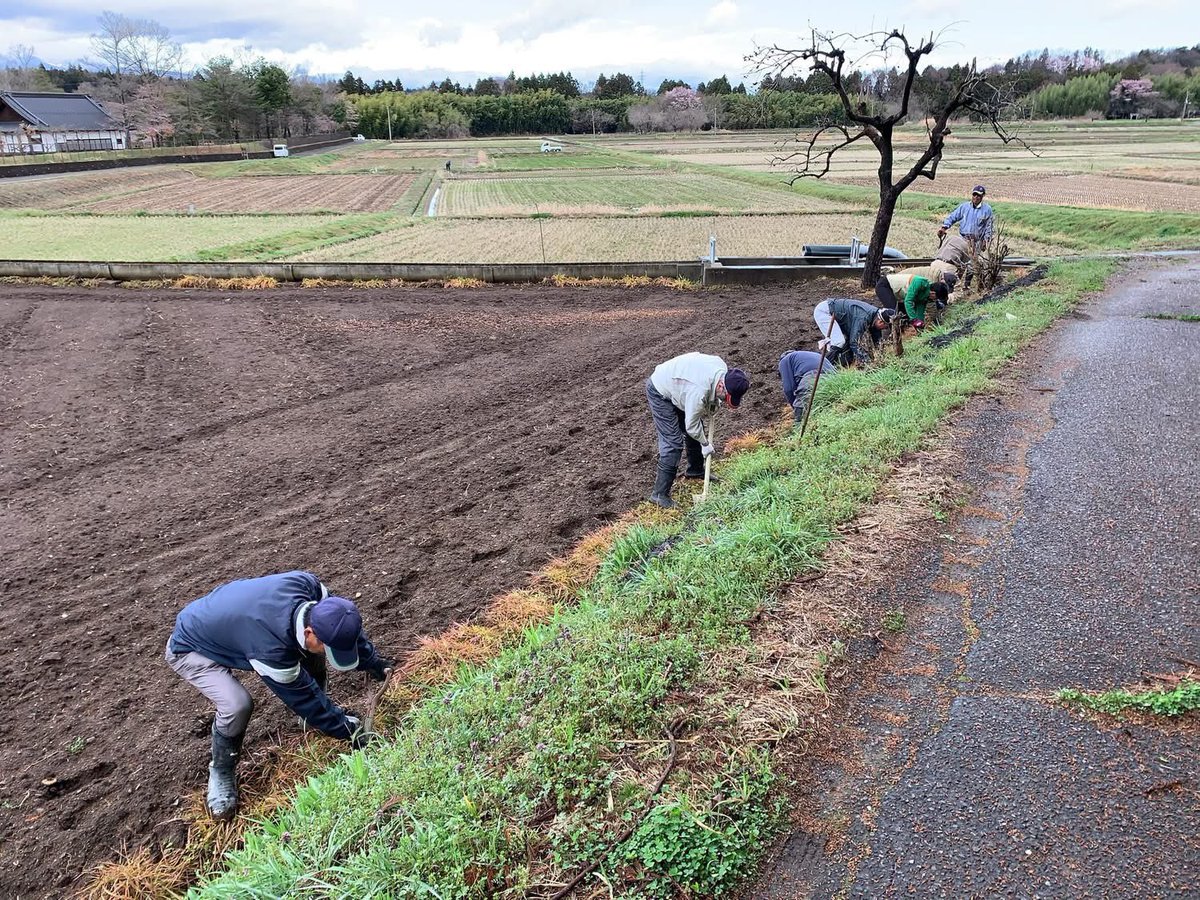 oodairahnw's tweet photo. 今年も水路の堀払いが行われました。幹線水路の堀払いでは、山腹水路なのですが、コンクリート水路に蓋が掛かっているのに隙間から落ち葉側大量に詰まったり管理用通路に篠竹が生えたり倒木があったりします。
支線水路は家庭排水も入って来ますのでヘドロや泥も溜まります。 https://t.co/psWtoKY5HB