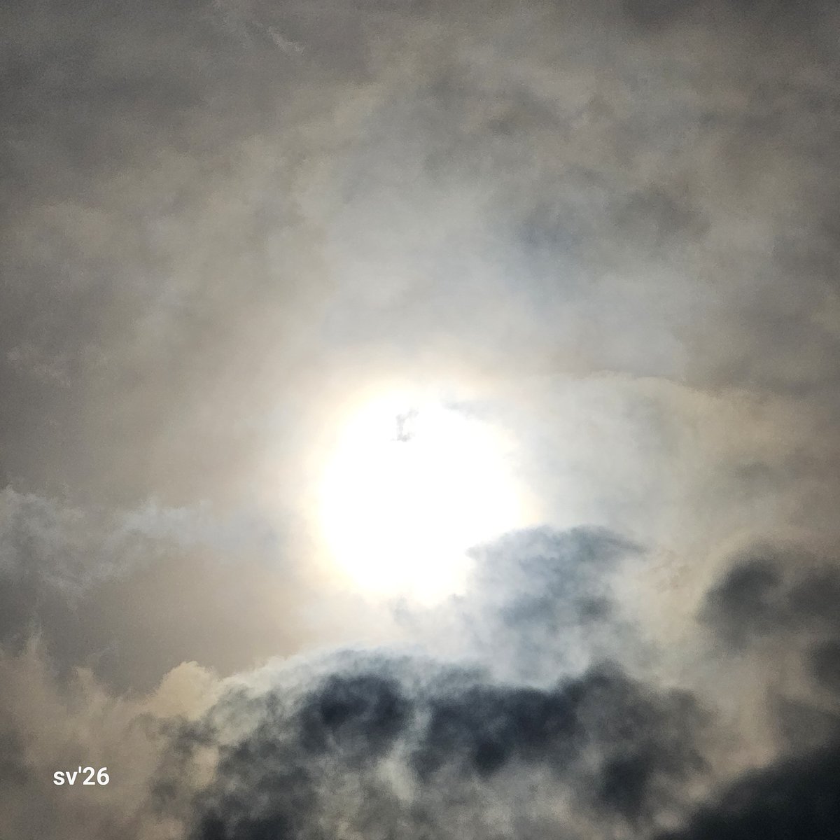 sachenverlierer tweet media