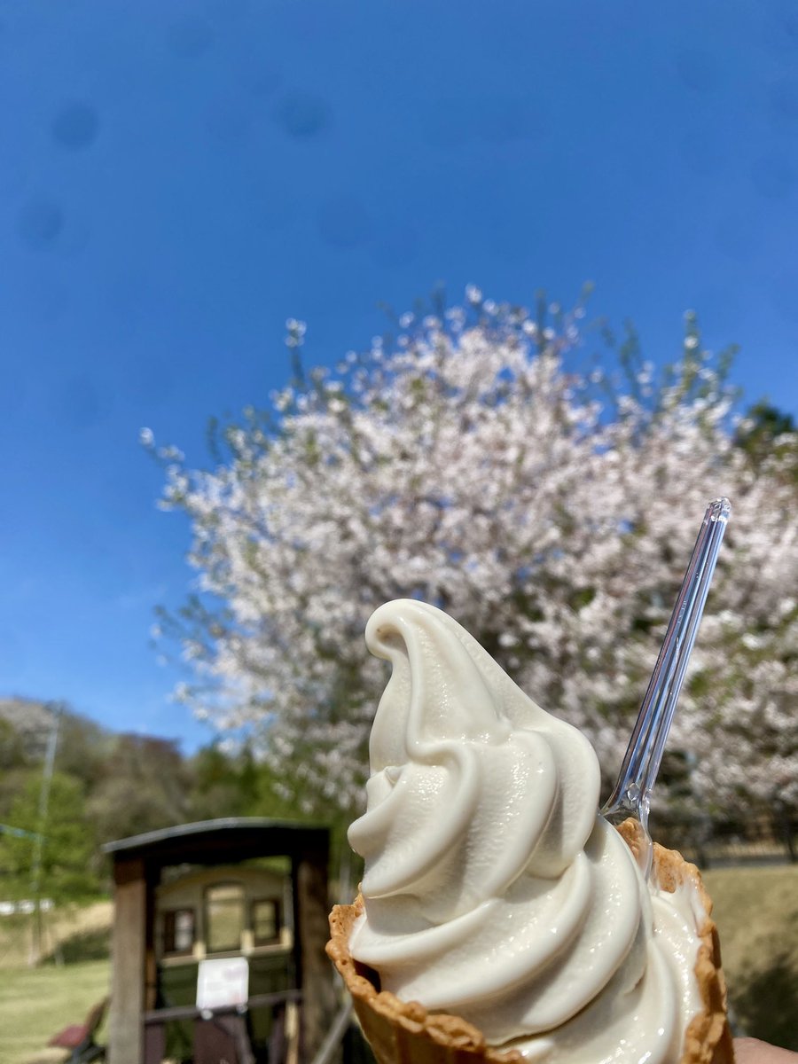 TS沼田 tweet media