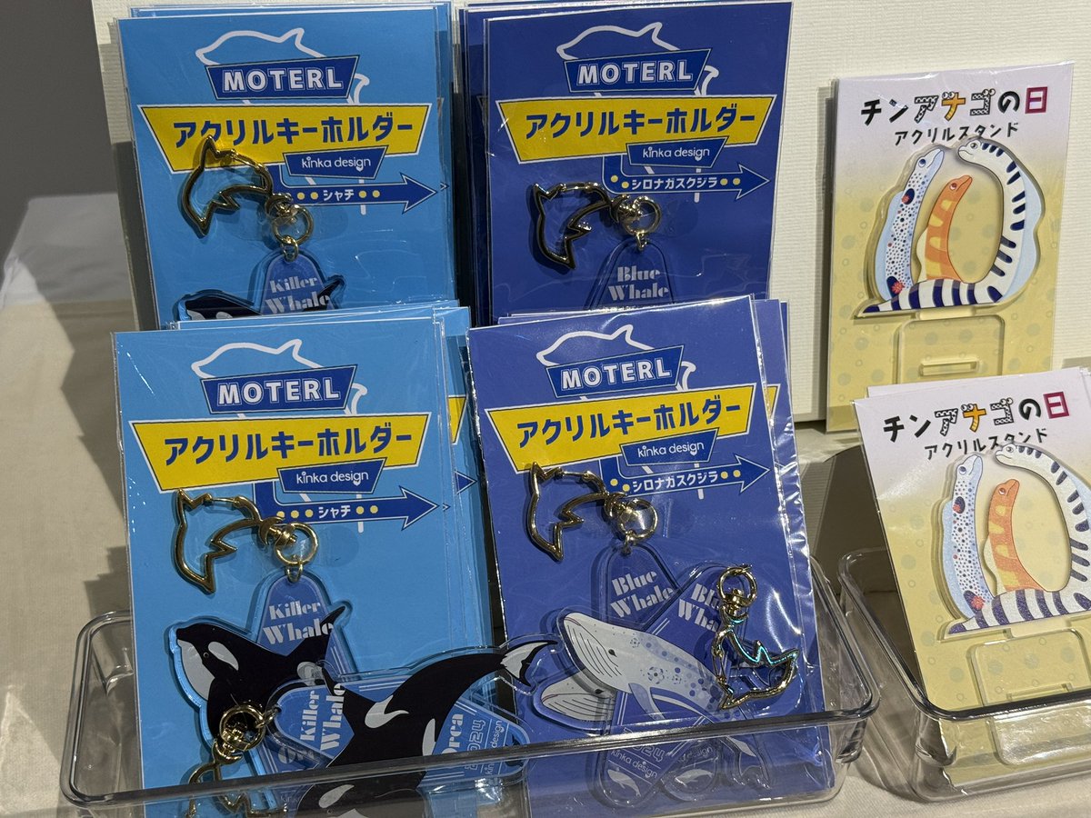 シャチカツ!【公式】 tweet media