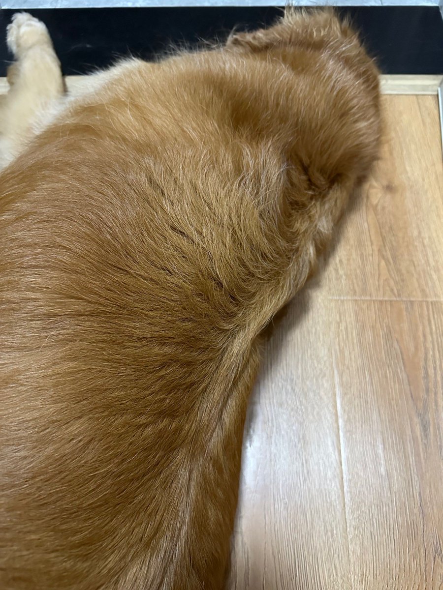 jennyferperez tweet media