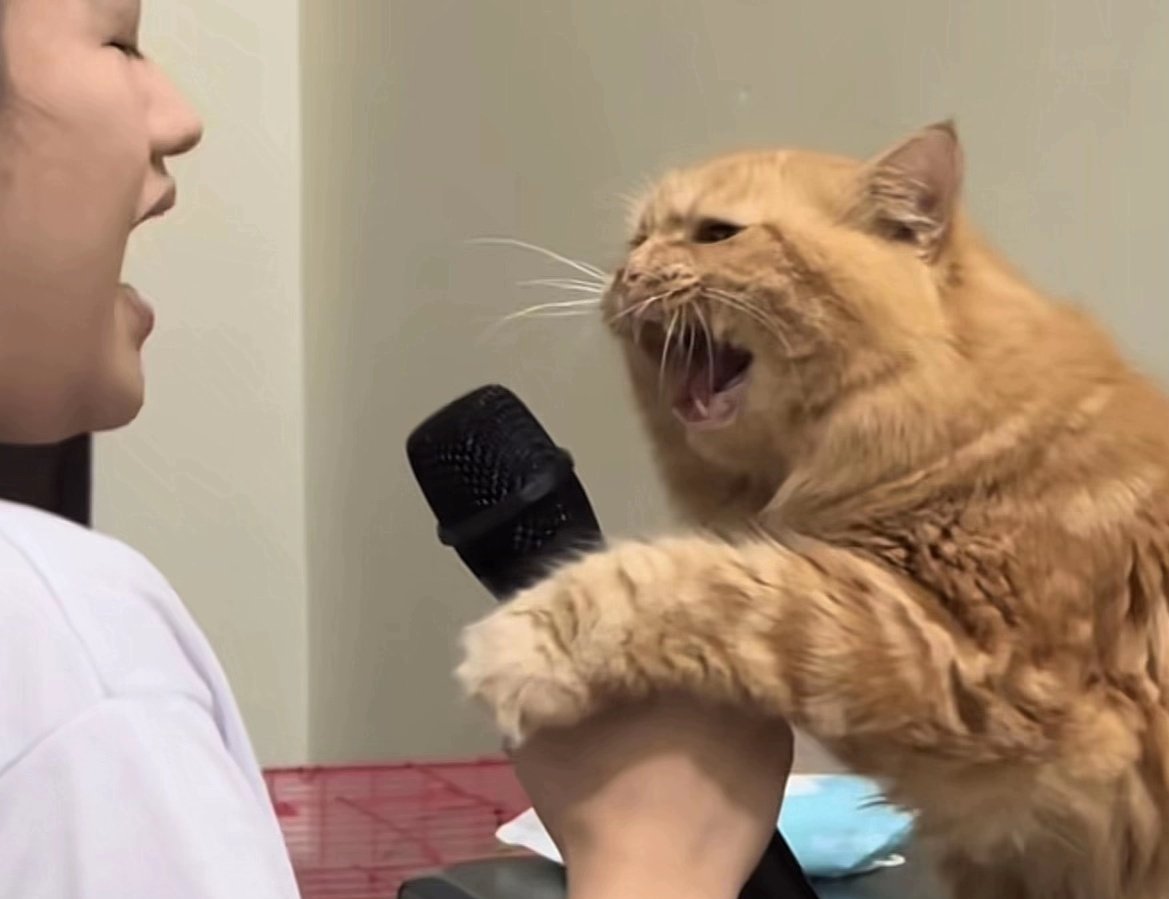 kenapa harus ada skripsi?