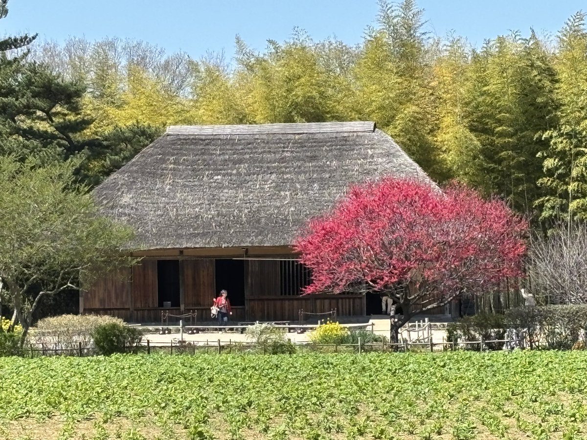 中田譲治 tweet media