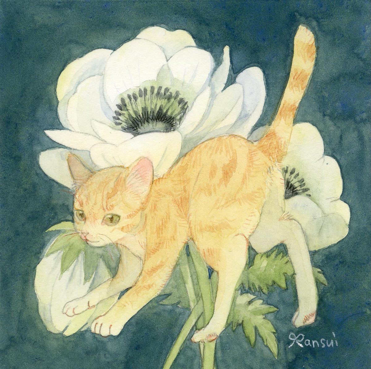 らんすい tweet media