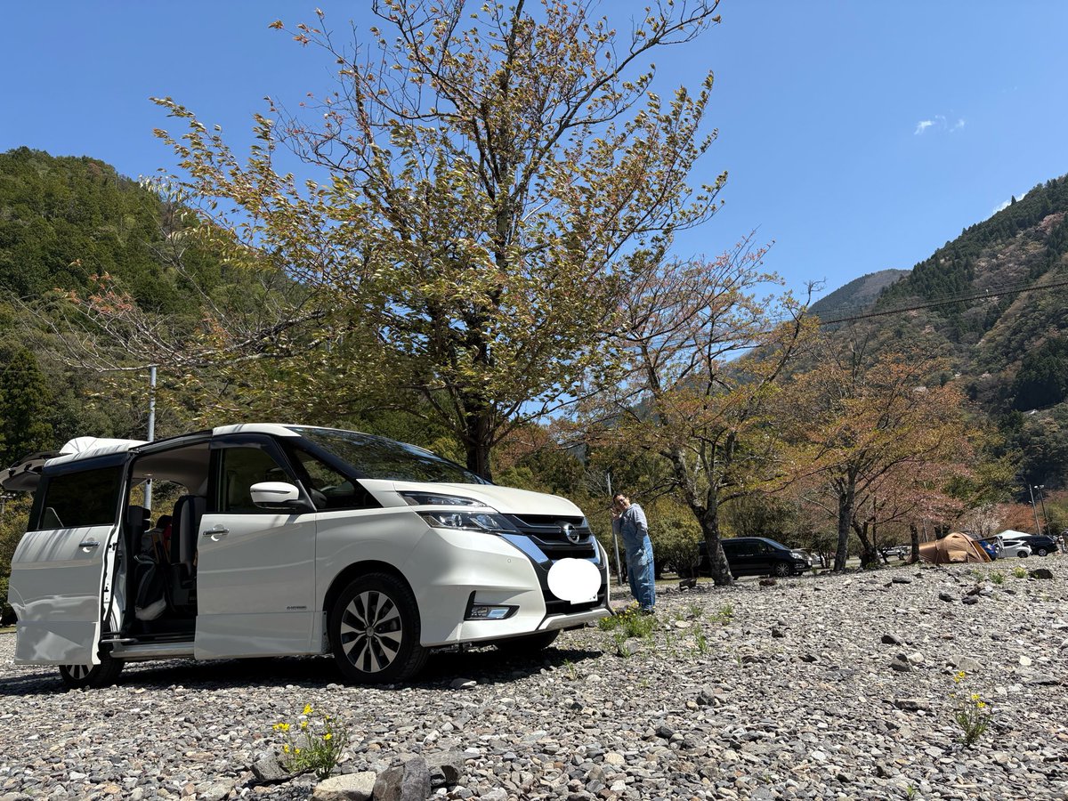 こじっち tweet media