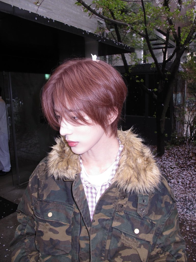 Qiunan Lin (Chaney) tweet media