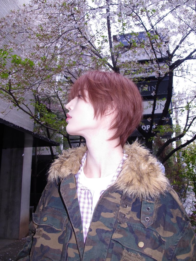 Qiunan Lin (Chaney) tweet media