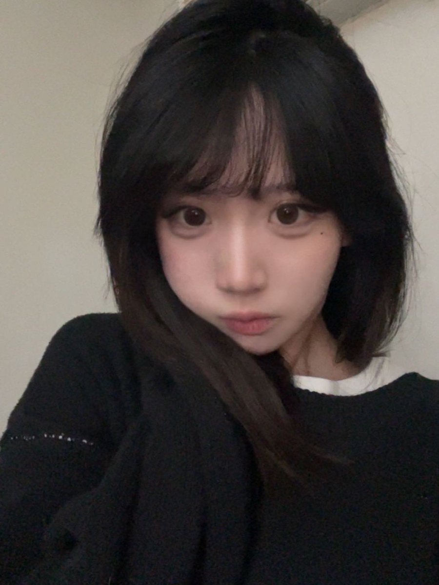 貓貓蟲~ tweet media