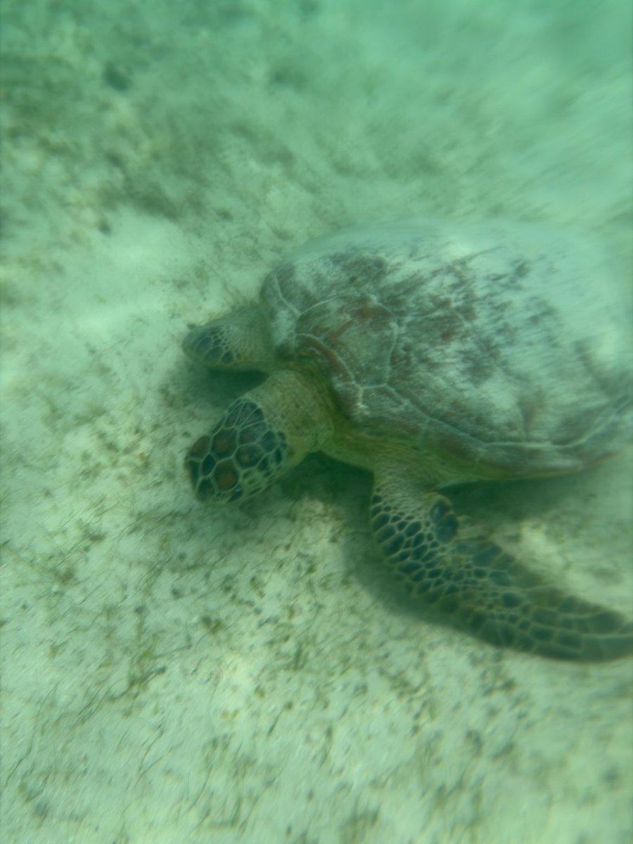 原 和泉 tweet media