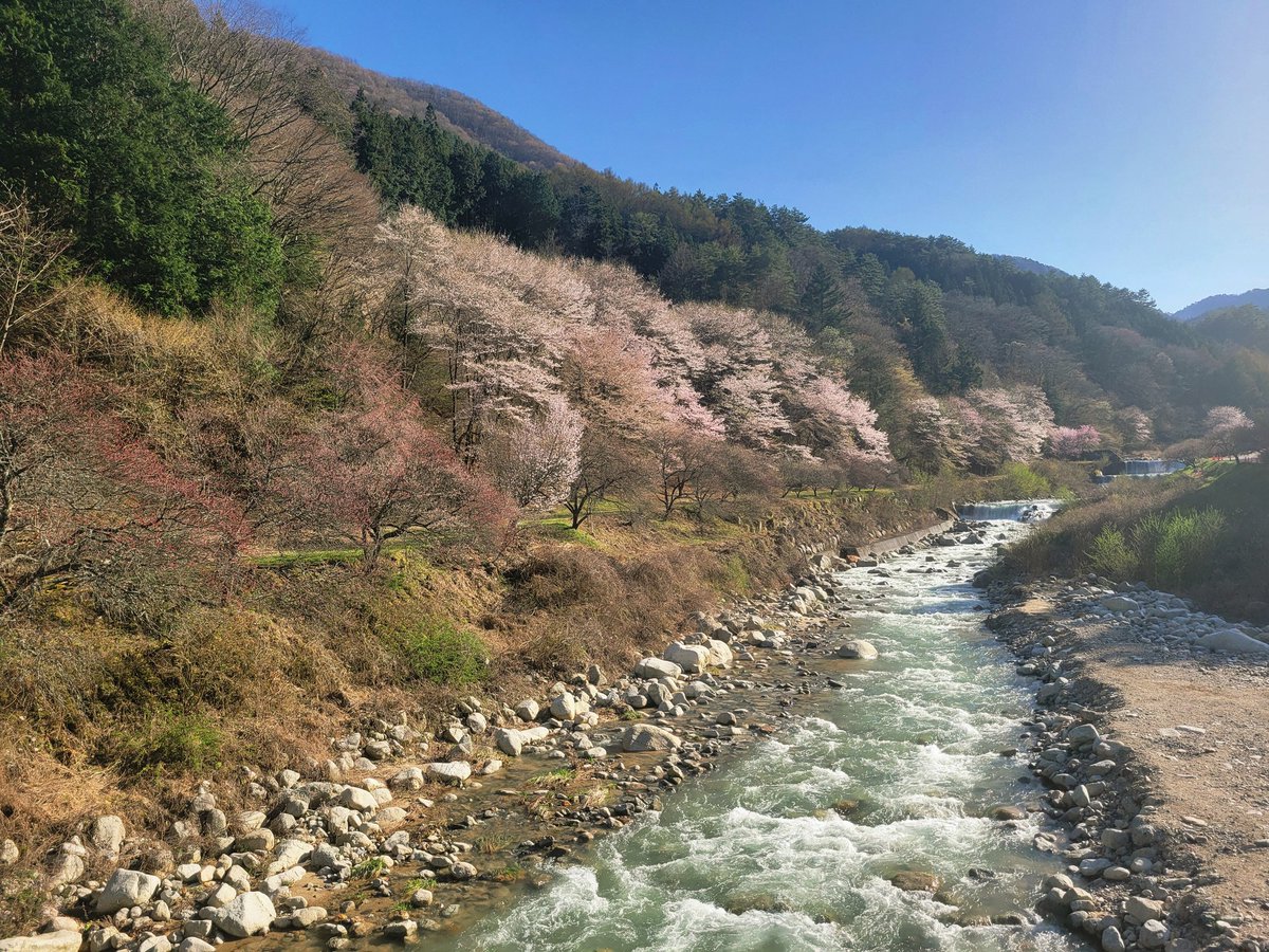 photo＠📷 tweet media