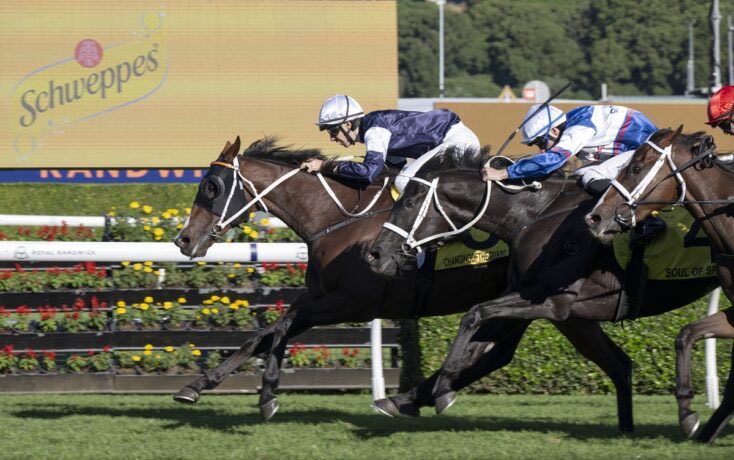 Coolmore Australia tweet media