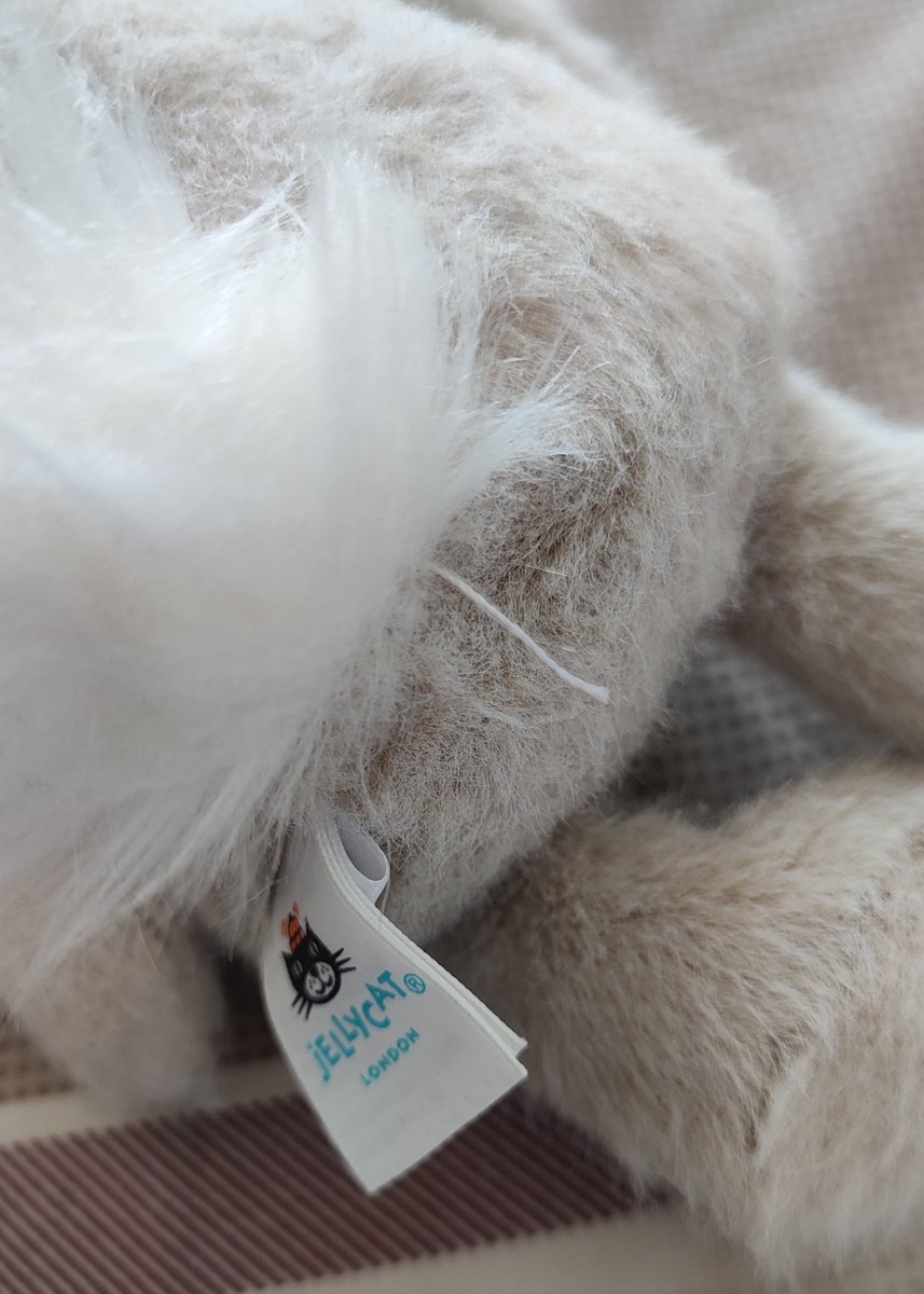 Basil 🌱 tweet media