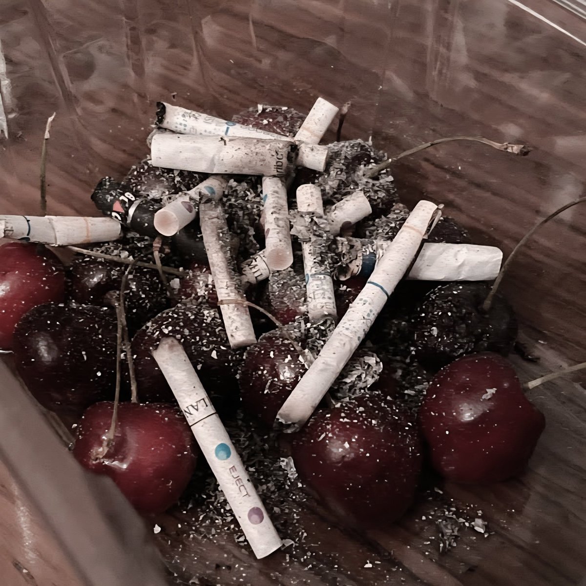 † 𝖒𝖎𝖓 tweet media