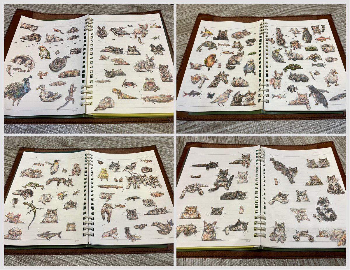 晴夏 haruka /画家 tweet media