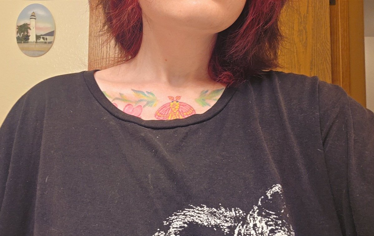 persephone of edtwt tweet media