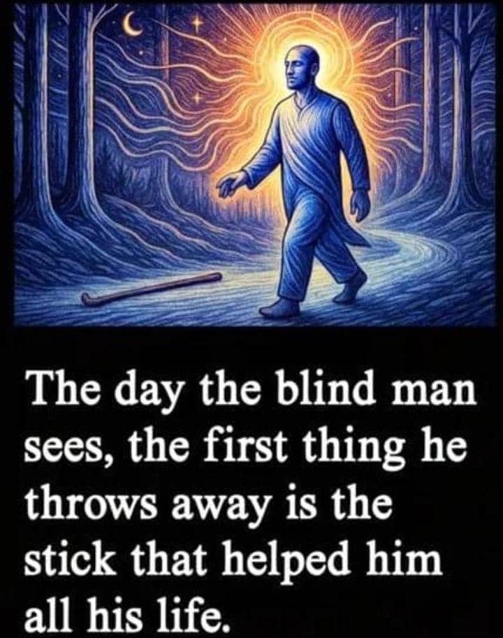 proff Tes tweet media