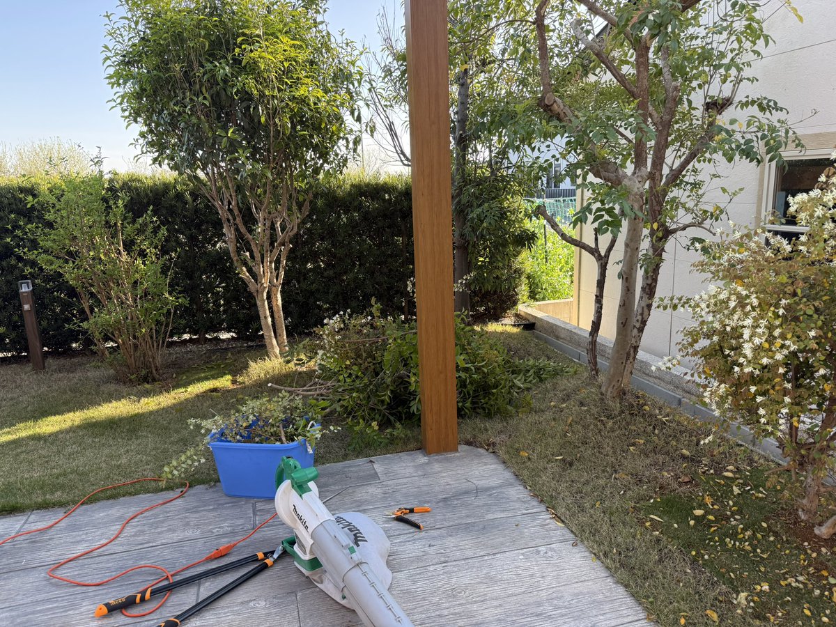 たそ。 tweet media