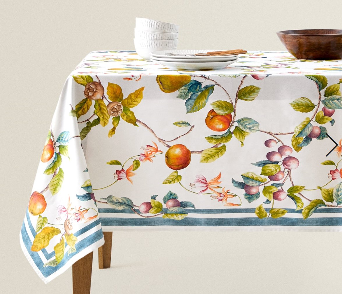 Eva Sanchez tweet media