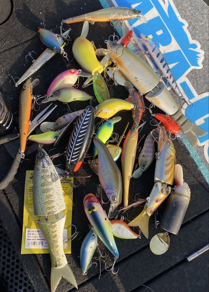 横井丈史 tweet media