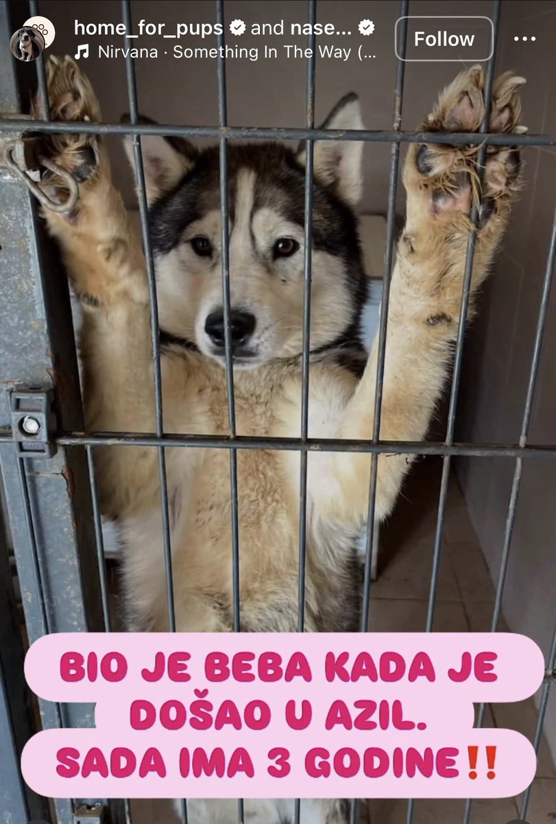 Rt 🐾🙏🏻🐾🙏🏻