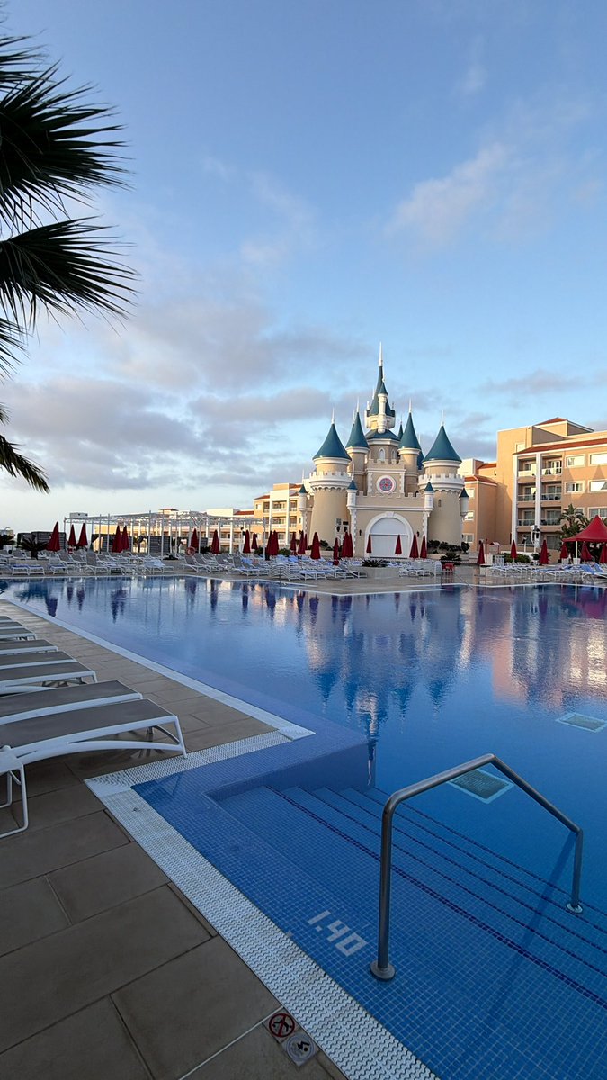 Thomas Skinner ⚒ tweet media