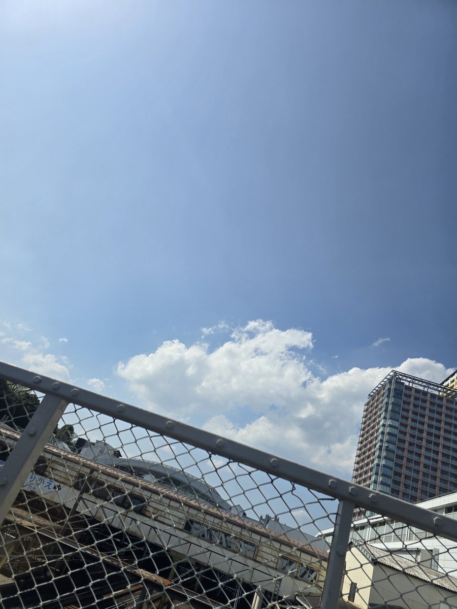 무야🌱/ᐠ。‸。ᐟ\🍀 tweet media