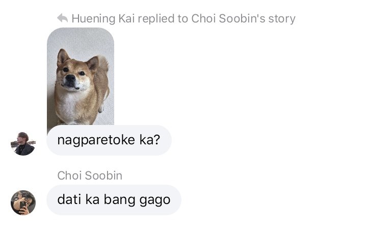 soobicakes's tweet photo. #txt few tweets filo au

txt as filo memes/mga katarantaduhan sa facebook at messenger https://t.co/r9IJE3u0YS
