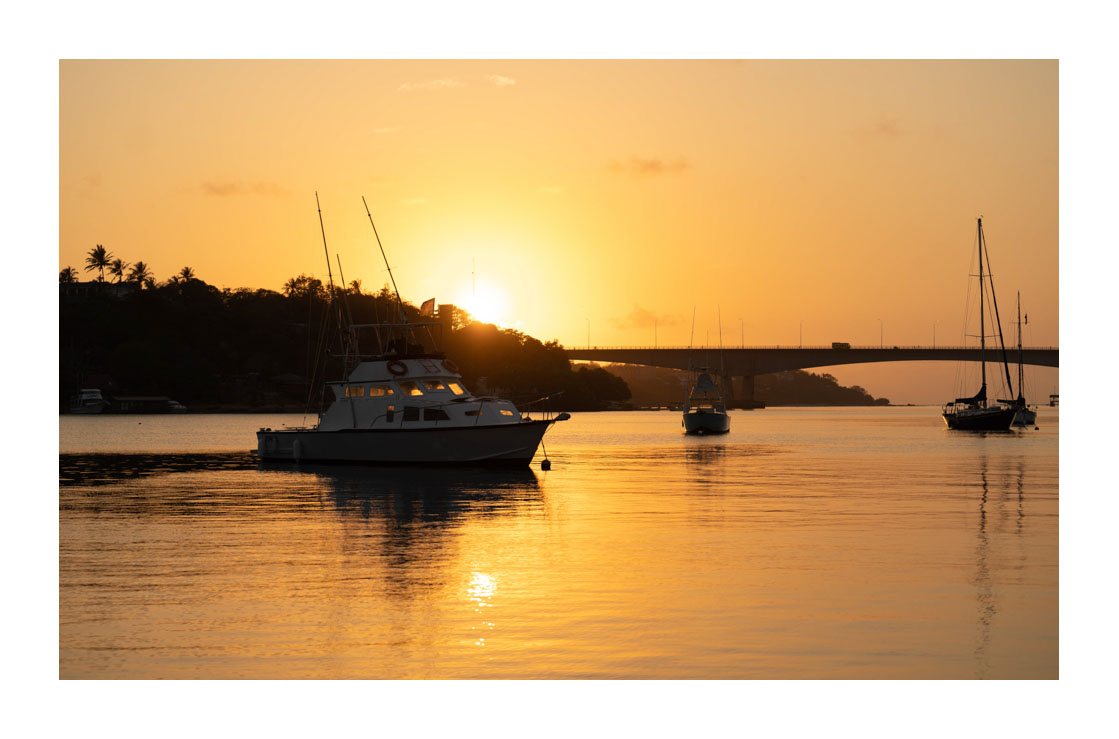 Karali_Pics📸 tweet media