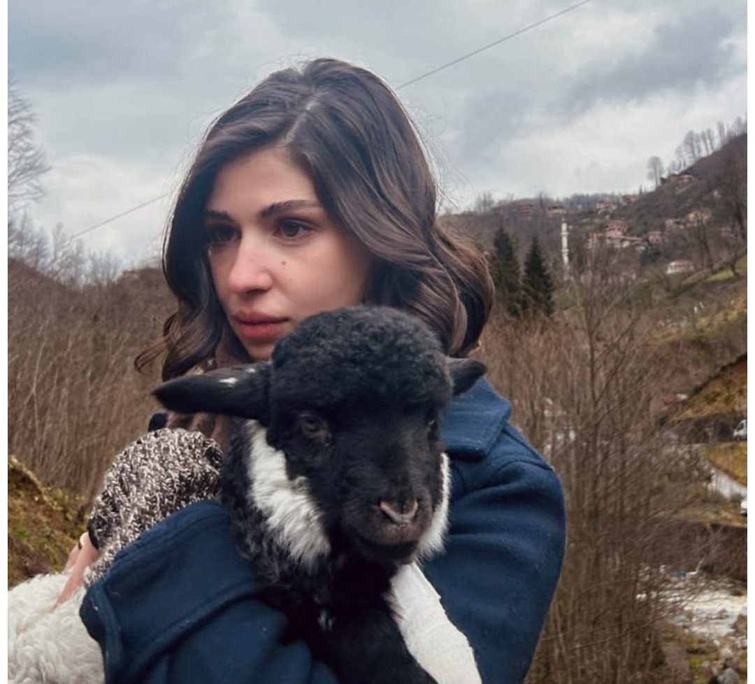 Бомбить🃏 tweet media