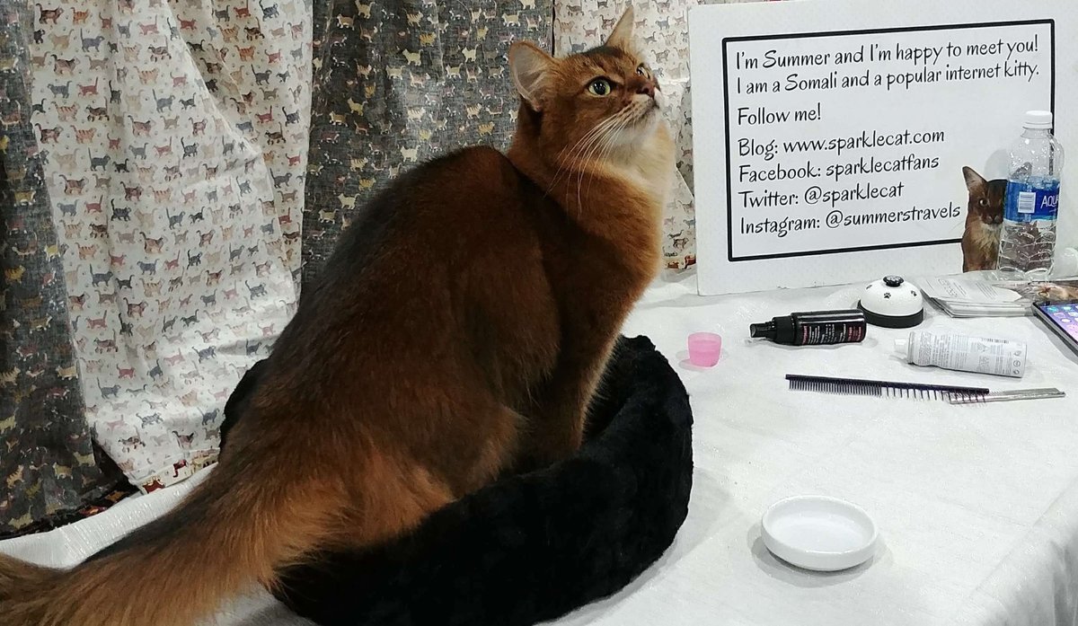 Craig S. C. Okajima tweet media