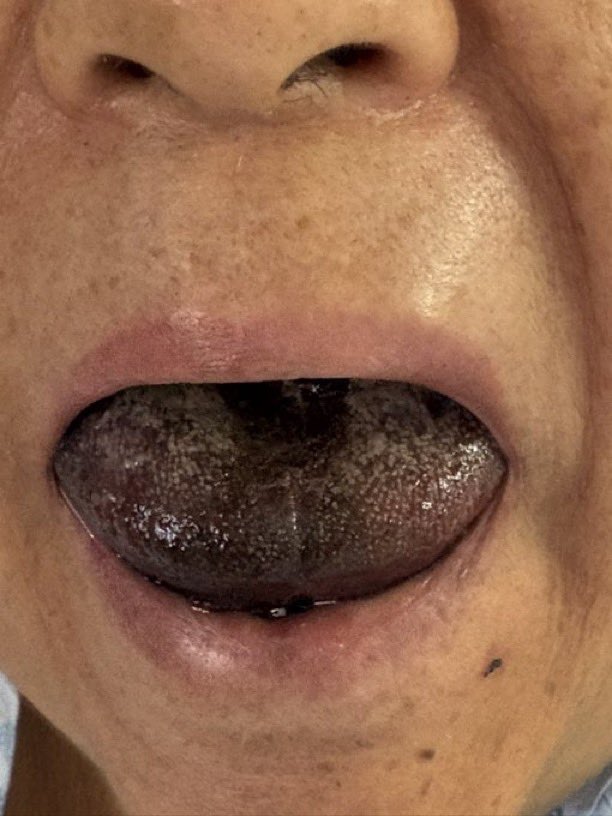 Elif ben tweet media