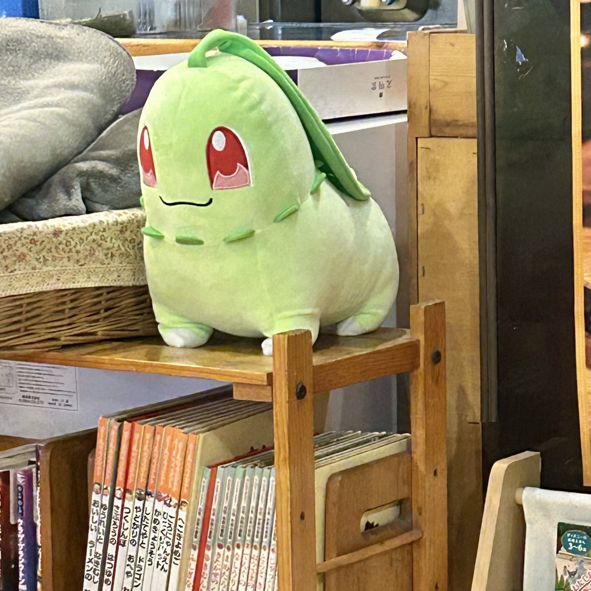 抹茶珈琲ゼリー tweet media