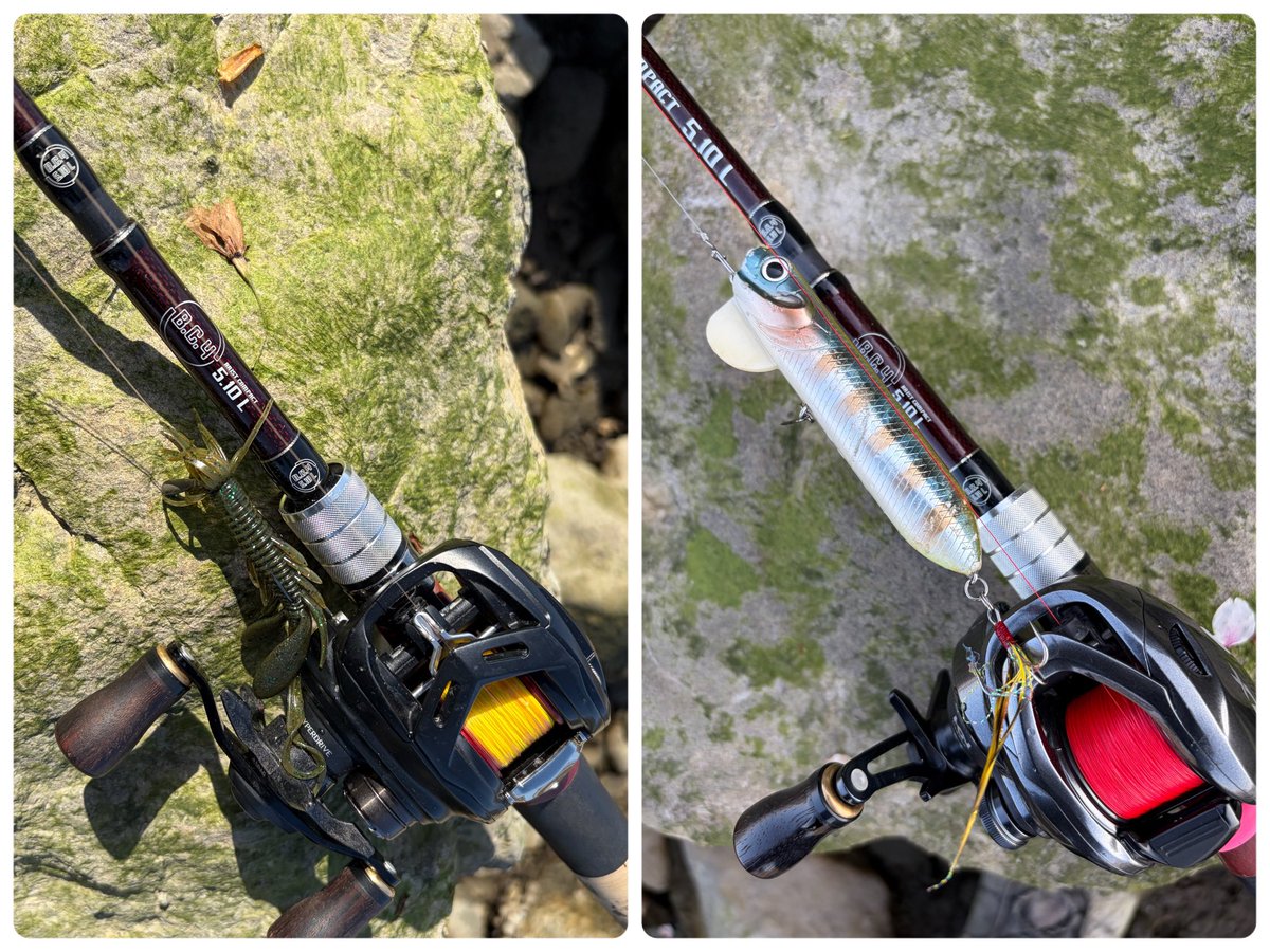 tnyn252525's tweet image. サイトフィッシング😎
ドライブホッグ神経戦の末に良型＆平均クロダイ🐟が釣れました👍
トップは依然不発😅
#OSP
#fishman
#BC4510L