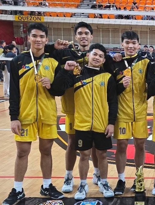 xyza gulat tweet media