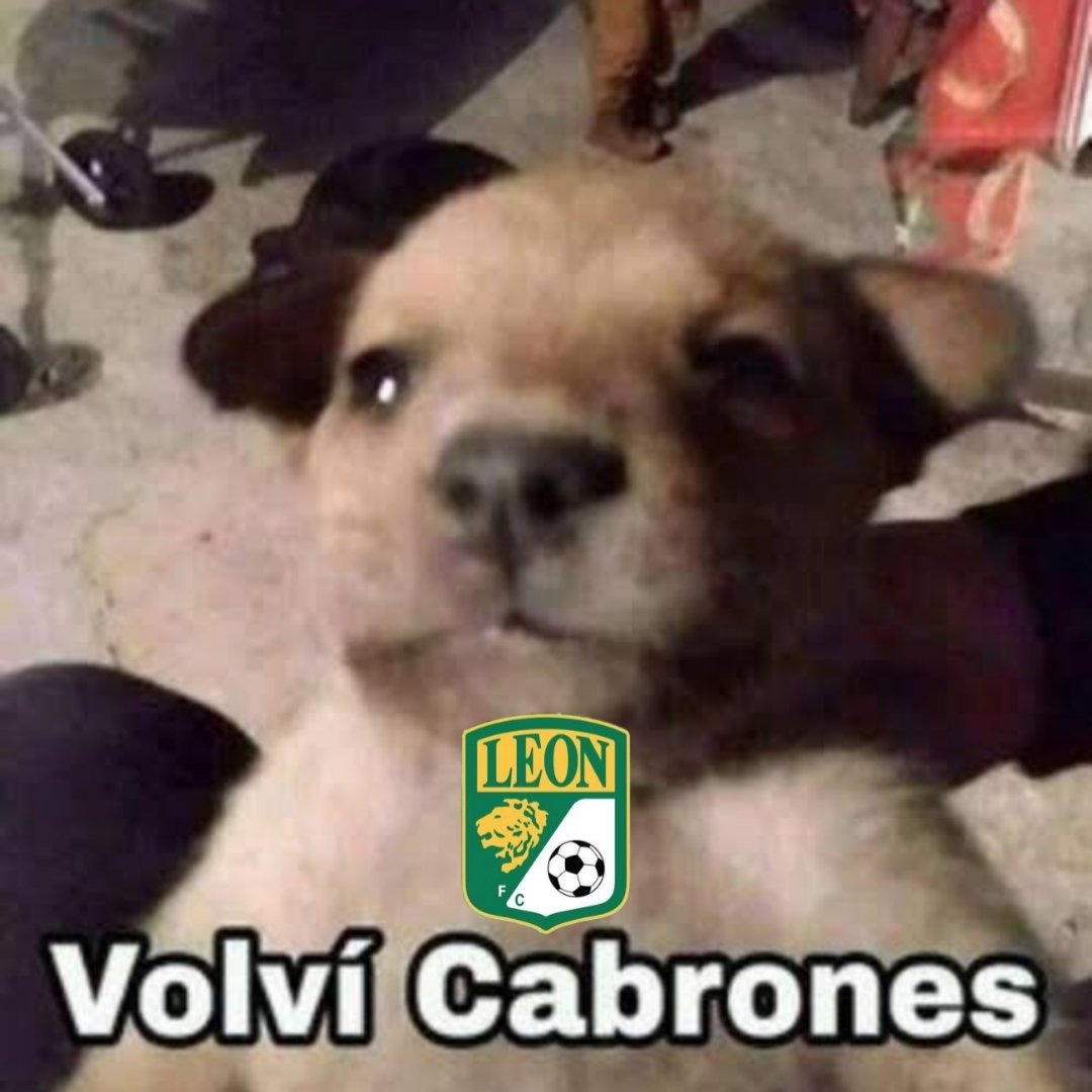 Fiera Pana #FueraGrupoPachuca tweet media