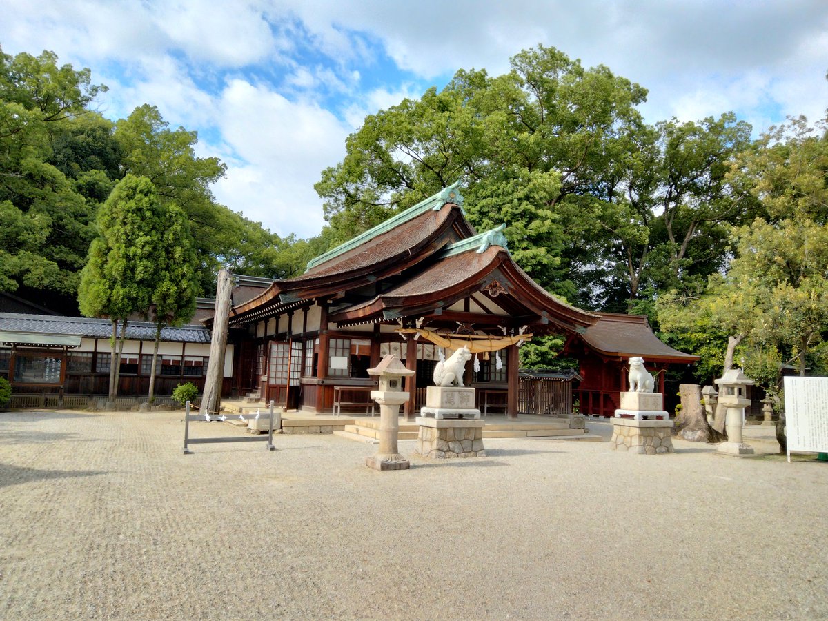 ぽっぽファクトリー🐣 tweet media