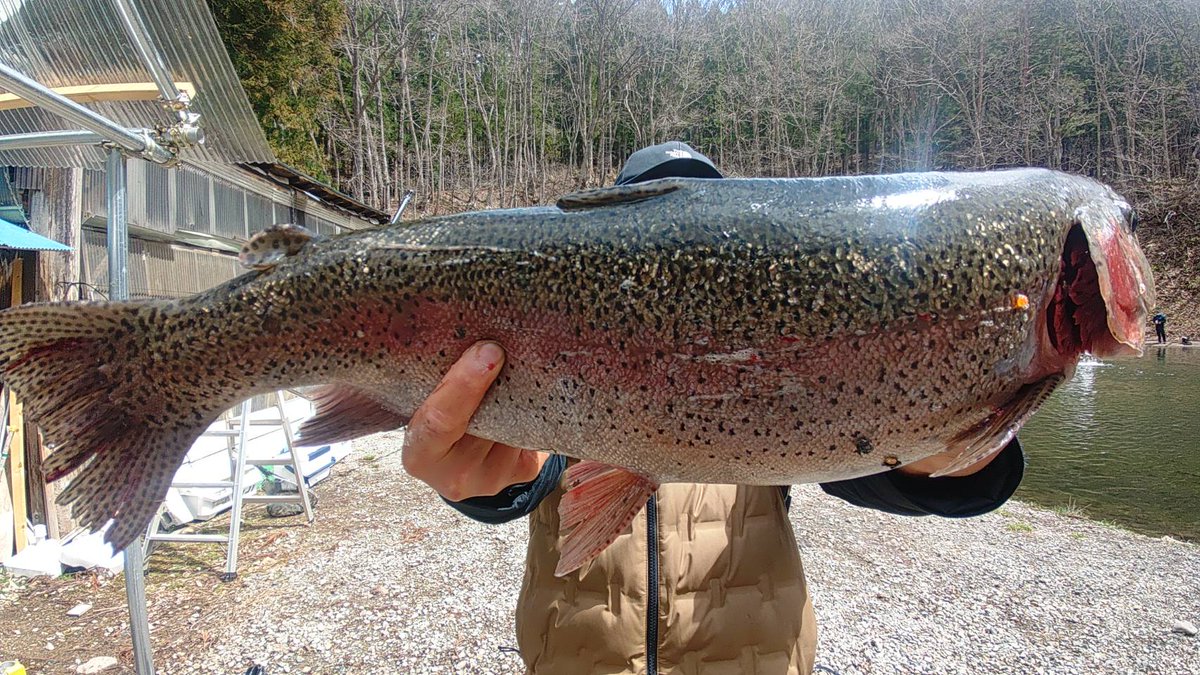 あいづフィッシングエリア(公式)／AIZU FISHING AREA tweet media
