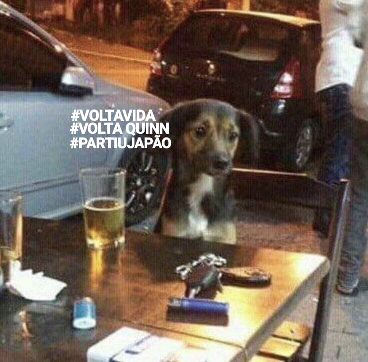 clt anêmico e sem a quinn 💔 tweet media