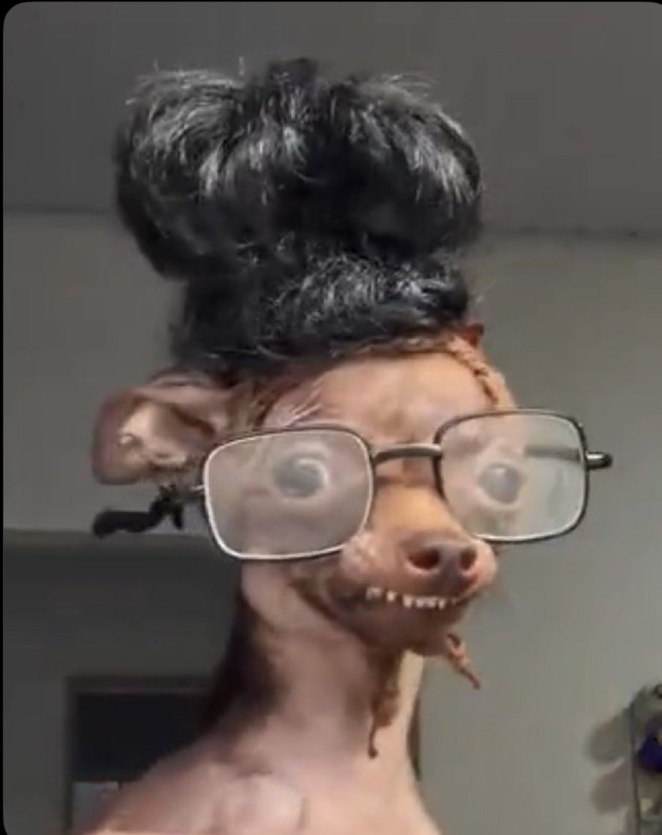 Awudu Quan tweet media